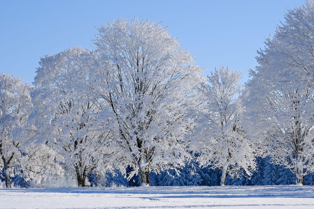 winter-9168141_1280